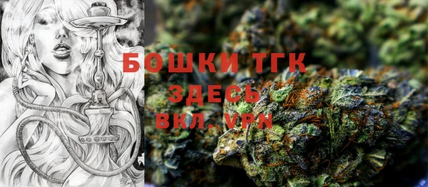 твердый Абаза