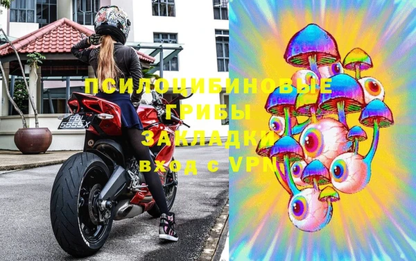 твердый Абаза