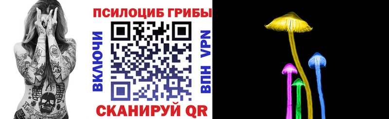 Галлюциногенные грибы MAGIC MUSHROOMS  где продают   Щёлкино 